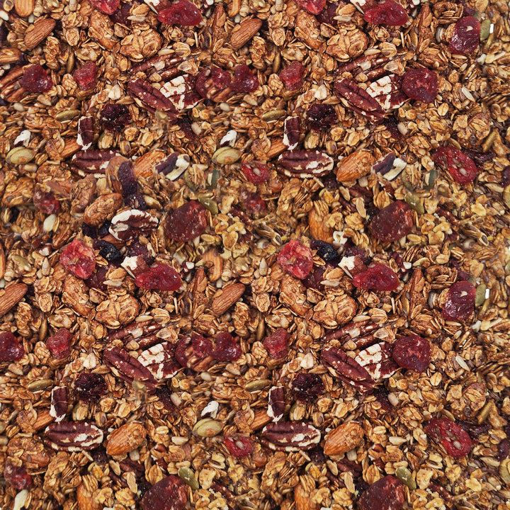 Granola Frutos Rojos 300g